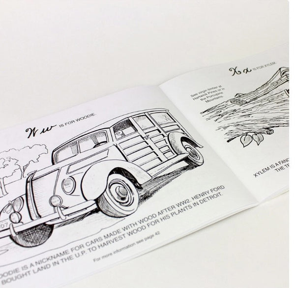 ABC's and 123's Coloring Book of the Great Lakes