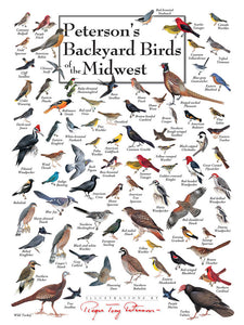 Birds of the Midwest