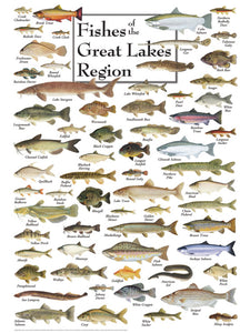 Fishes of the Great Lakes